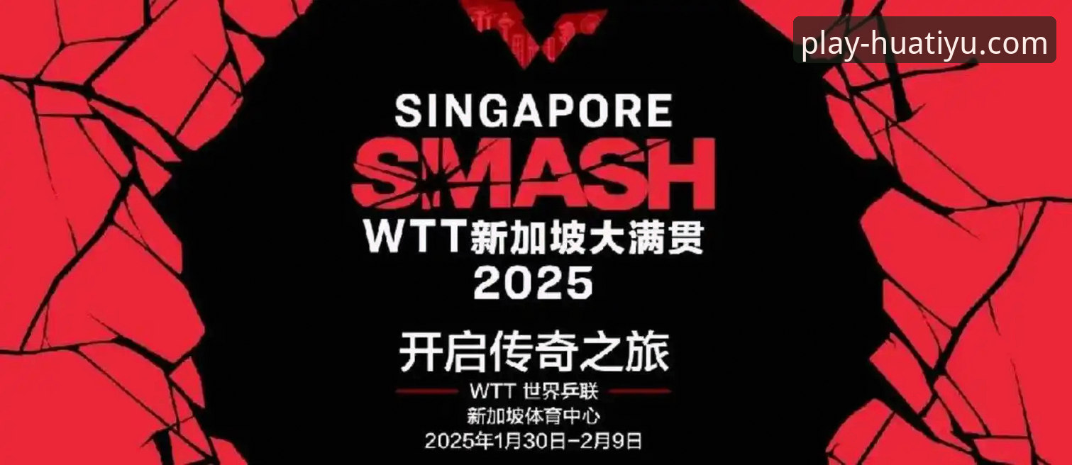 华体育电脑版 华体育电脑版迎来重大更新,老用户分享最新版本下载与使用心得