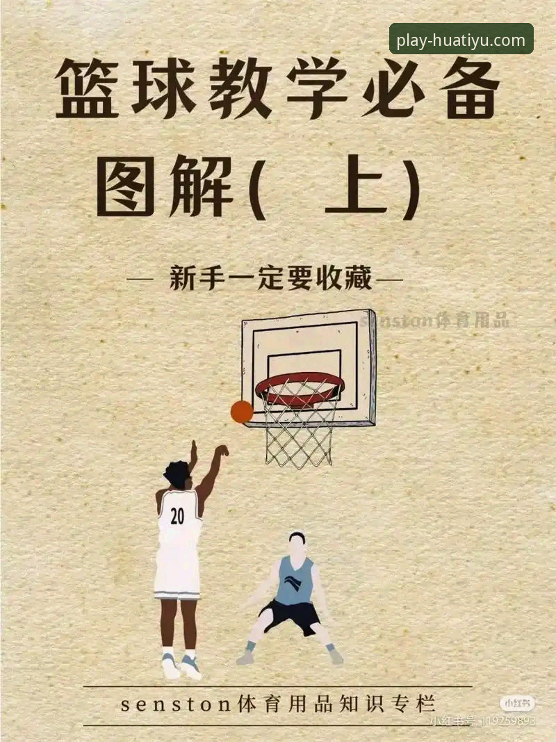 华体育体育娱乐必备：新手入门全面解析与下载安装指南