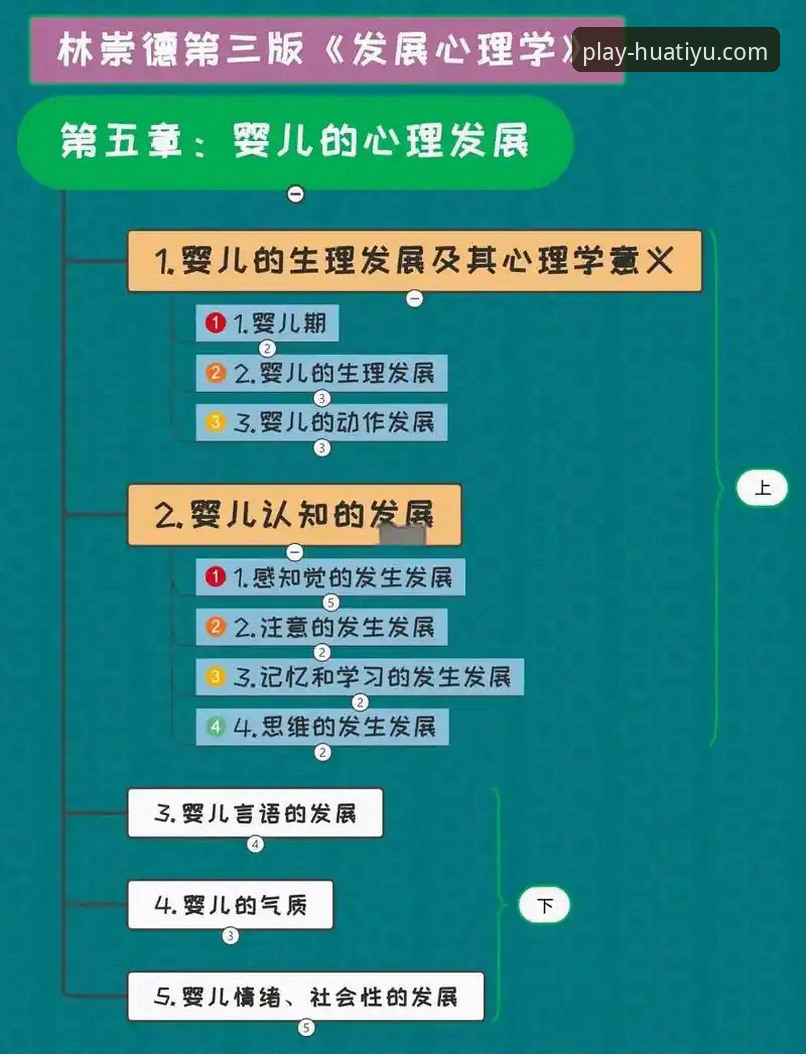 华体育平台全面解析：从官网直接下载到使用体验的深度分析